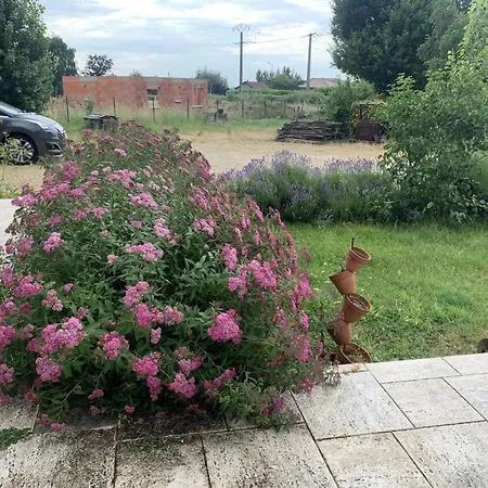 منزل ريفي Familial Pres De Vichy Avec Jardin Et Activites Rongeres