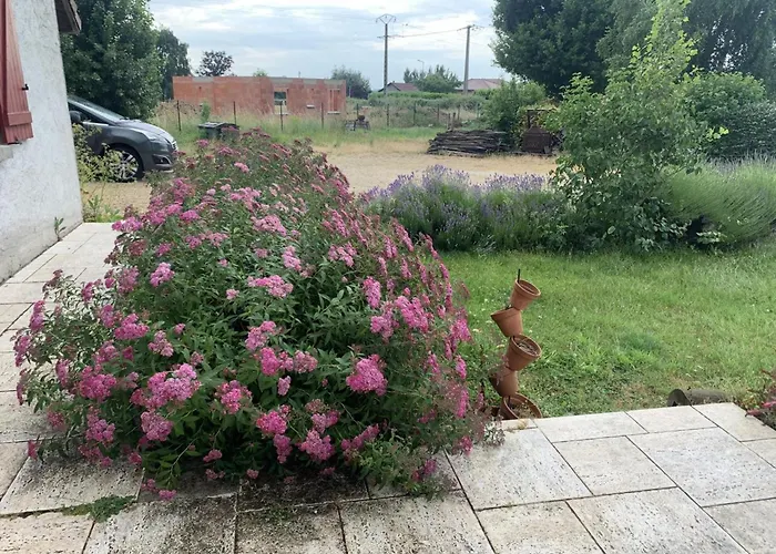 Holiday home Familial Pres De Vichy Avec Jardin Et Activites - Fr-1-489-486 Rongeres